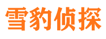 得荣市调查公司